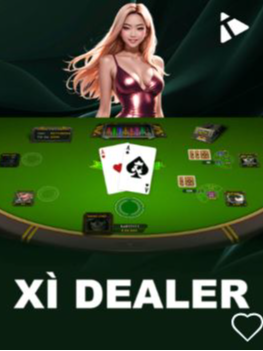 xi dealer